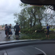 Jóvenes retiran escombros y ramas de la carretera cerca de la casa de Santiago. (Foto cortesía de Ruth Santiago)
